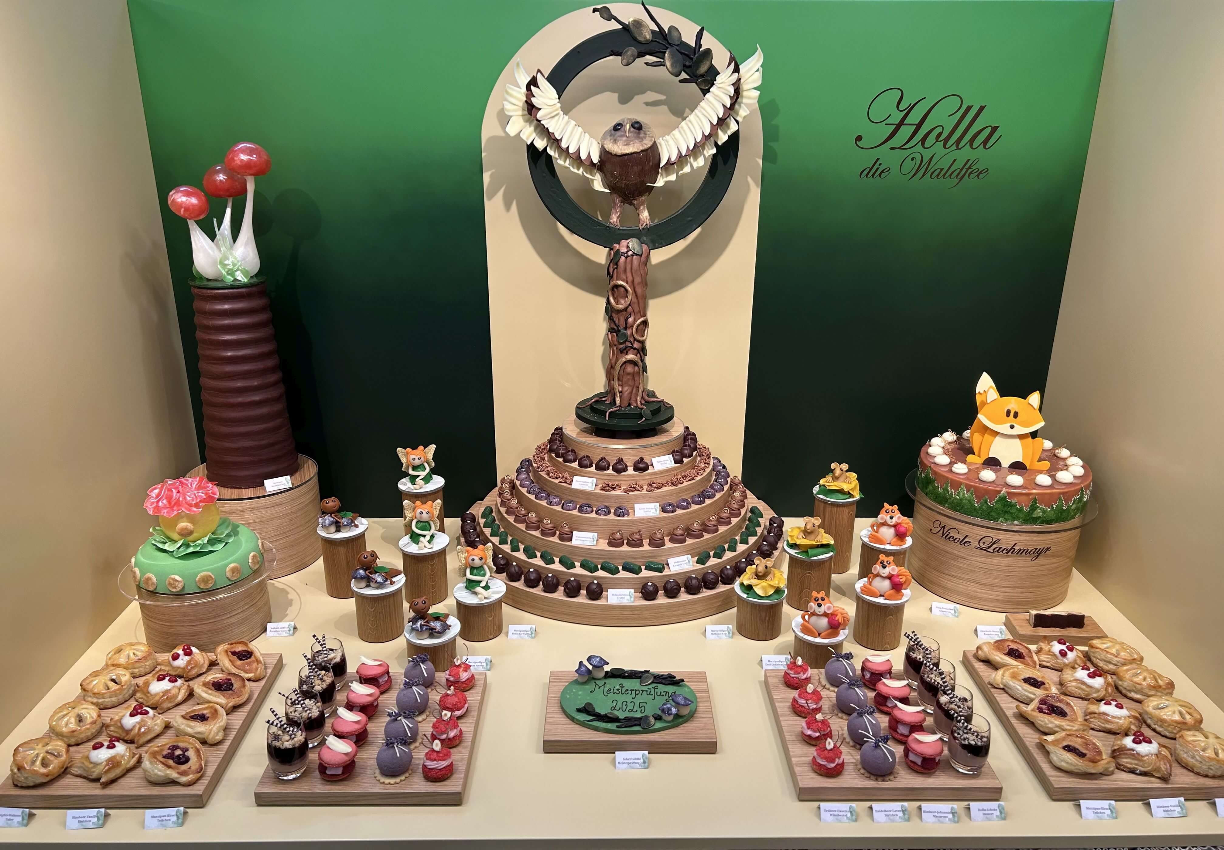 Lachmayr Schaufenster